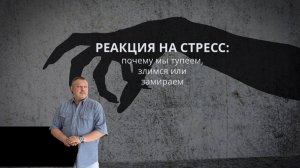 Реакция на стресс: почему мы тупеем, злимся или замираем