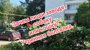 Зачем люди заводят собаку или кошку? Утренняя болталка. 21-05-2026