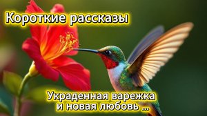 Короткие рассказы: собака украла варежку и помогла забыть бывшего | Домохозяйка