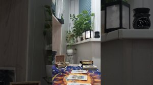 Карта дня
