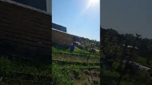 Утренний эфир от 21.05.26