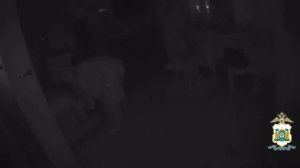 Двое инспекторов ДПС, не дожидаясь спасателей, вытащили людей из горящего дома в Ханты-Мансийске.

Л