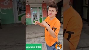 Сегодня забрали зоо-корзины добра в ПЛАНЕТА ZOO на Октябрьской Революции 13 и в ТЦ ГАЛАКТИКА!