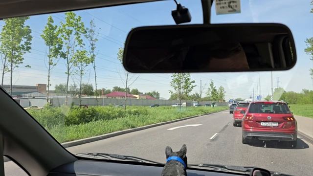 21-05-2026 Владимир Москва Тушино