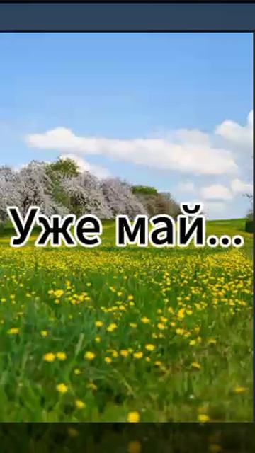 Как быстро пролетел этот учебный год...
