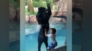 YouCut_20260521_014046915.mp4