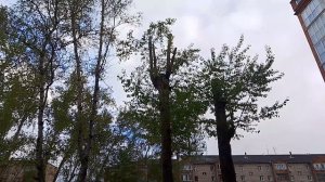 1 часть WLOGA моего дня