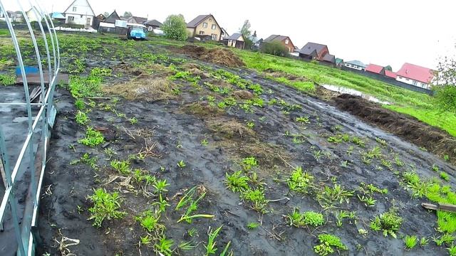 Собрали с сыном каркас теплицы .Погода опять не дает ничего делать. смотреть онлайн