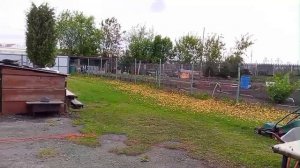 Садово-огородно-цветочные дела.💚🤗💐