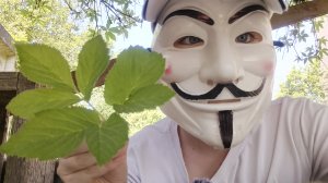 АСМР В БЕСЕДКЕ