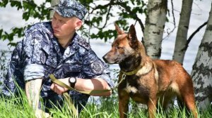Лучшие кинологи страны со служебными собаками приняли участие в чемпионате ФСИН