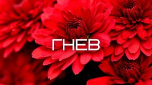 Гнев. Часть 14. Джон Кабат-Зинн. Аудиокнига nikosho