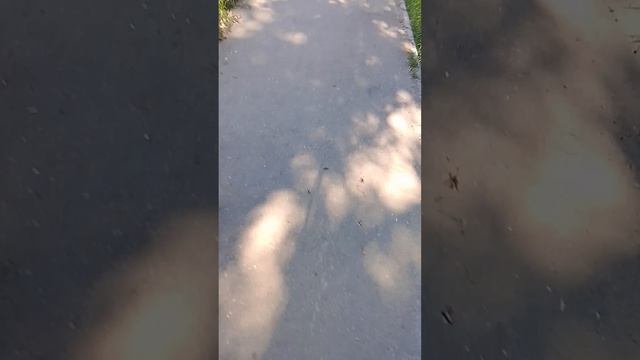 я ищу травы для травника смотреть онлайн