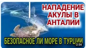 Срочное сообщение для Бравенькой Ольги