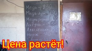 Цена на металлы. Сдаю металл.