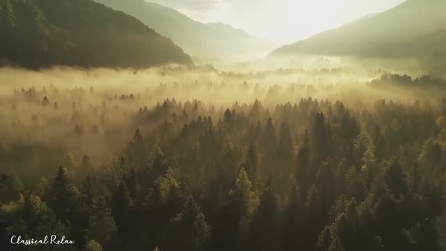 Классическая музыка для Души🌿 Нежная музыка успокаивает нервную систему 22