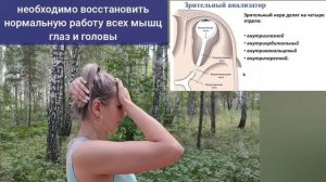 Перегрузка глаз душит зрительный нерв и главную глазную артерию. Методы декомпрессии