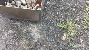 Шашлык сезон открыт
