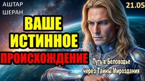 Вы всегда знали, что вы не из этого мира: сегодня я подтверждаю это | АШТАР ПРЕДУПРЕЖДАЕТ