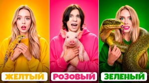 ЖИВОТНЫЕ ПО ЦВЕТАМ ЧЕЛЛЕНДЖ !