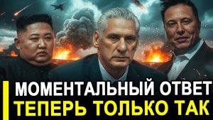 Вот это поворот. Автоматический ответ новая конституция,  Французский ордер, кубинские дрон.