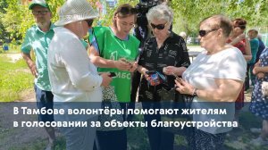 В Тамбове волонтёры помогают жителям в голосовании за объекты благоустройства