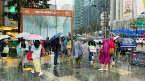 비 내리는 명동 구석구석 골목길 투어, 서울명동여행, 서울여행워커.