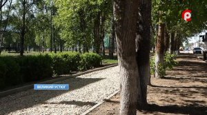 Судьба деревьев и детской площадки на Советском проспекте
