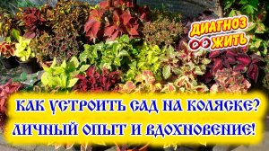 КАК УСТРОИТЬ САД НА КОЛЯСКЕ? ЛИЧНЫЙ ОПЫТ И ВДОХНОВЕНИЕ!