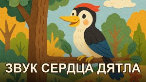 Как дятел нашёл звук своего сердца
