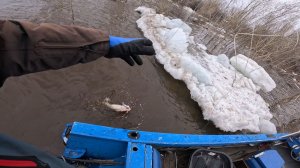 Первая рыбалка по жидкой воде 2026