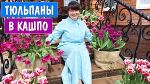 Из ЗОЛУШКИ в КОРОЛЕВУ. Волшебное преображение меня и сада! И самое шикарное цветение тюльпанов.