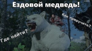 Crimson Desert. Белый ездовой медведь. Где найти? Как приручить?