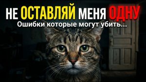 7 вещей, которые КАТЕГОРИЧЕСКИ нельзя делать, оставляя кошку одну (цена ошибки — здоровье кота)
