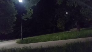 Соловьи поют