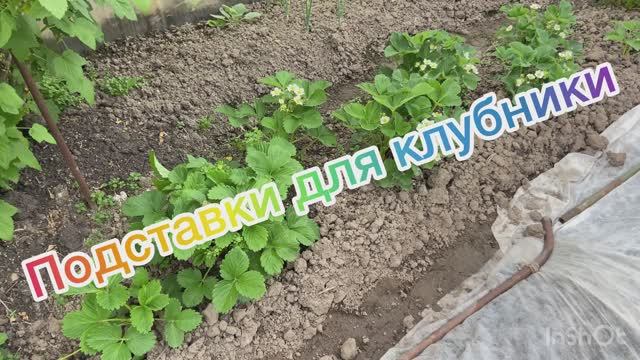 Подставки для клубники