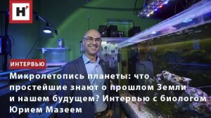 Что простейшие знают о прошлом Земли и нашем будущем? Интервью с биологом Юрием Мазеем