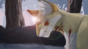 🌻SUNFLOWER🌻 | Sleekwhisker and Darktail | COMPLETE PMV MAP коты воители мап перезалив