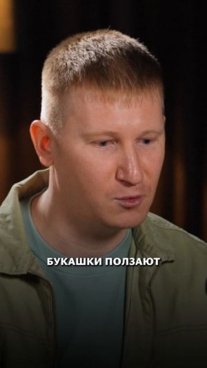 Какие бывают клещи в домах и как с ними бороться?