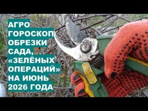 Не пропустите! Календарь обрезки и ухода за садом на ИЮНЬ 2026