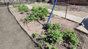 Новый день, спасибо моим подписчикам!🥰
