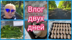 Много ли, для СЧАСТЬЯ надо?! С ночи одна работа, ГОТОВКА