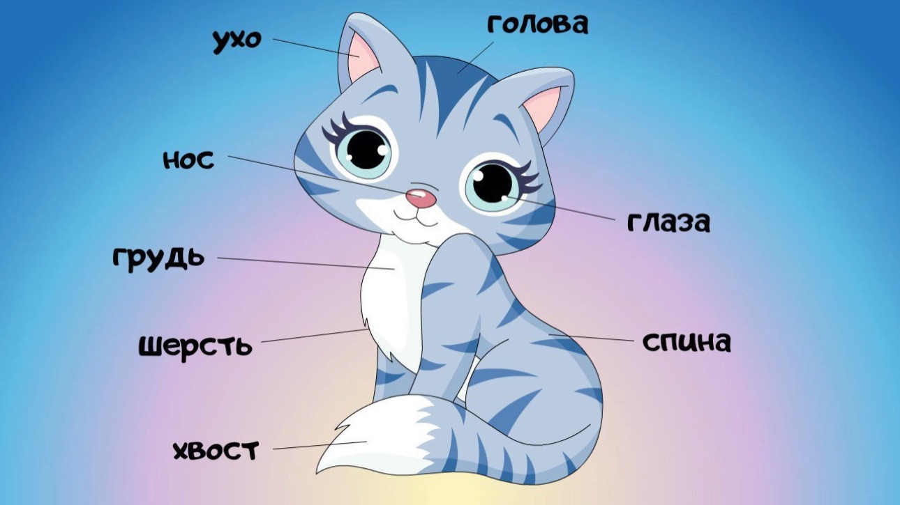Животные части тела для детей