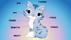 Животные части тела для детей