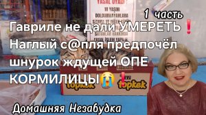 1 часть. Гавриле не дали УМЕРЕТЬ❗️Наглый с@пля предпочёл шнурок ждущей ОПЕ кормилицы😭❗️