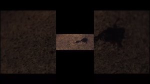 SHEESH-BABYMONSTER M/V