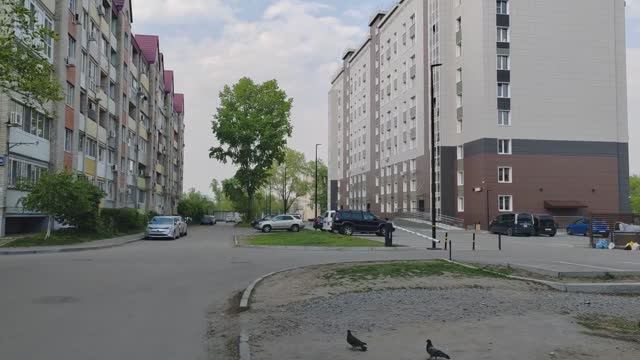 604. Хабаровск. Краснодарский 1 - Ежевичная 6. 21.05.26.