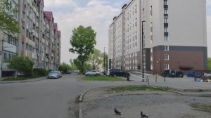 604. Хабаровск. Краснодарский 1 - Ежевичная 6. 21.05.26.