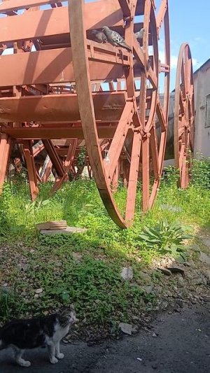 1000018294.mp421.05.2026г.