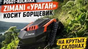 Робот-косилка ZimAni «УРАГАН» в работе 💥